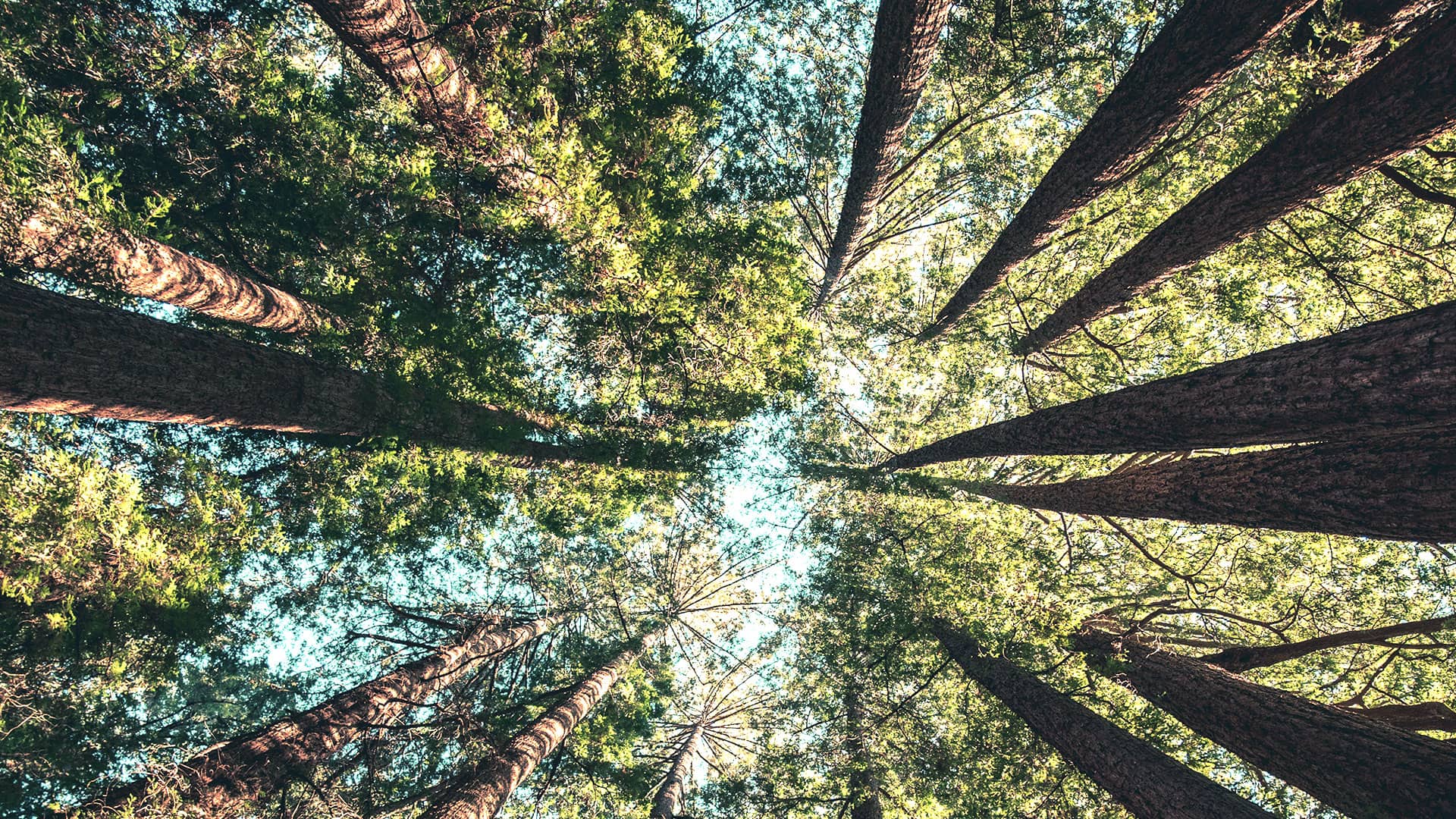 We Updated Our Sustainability Principle. Not Our Intentions.